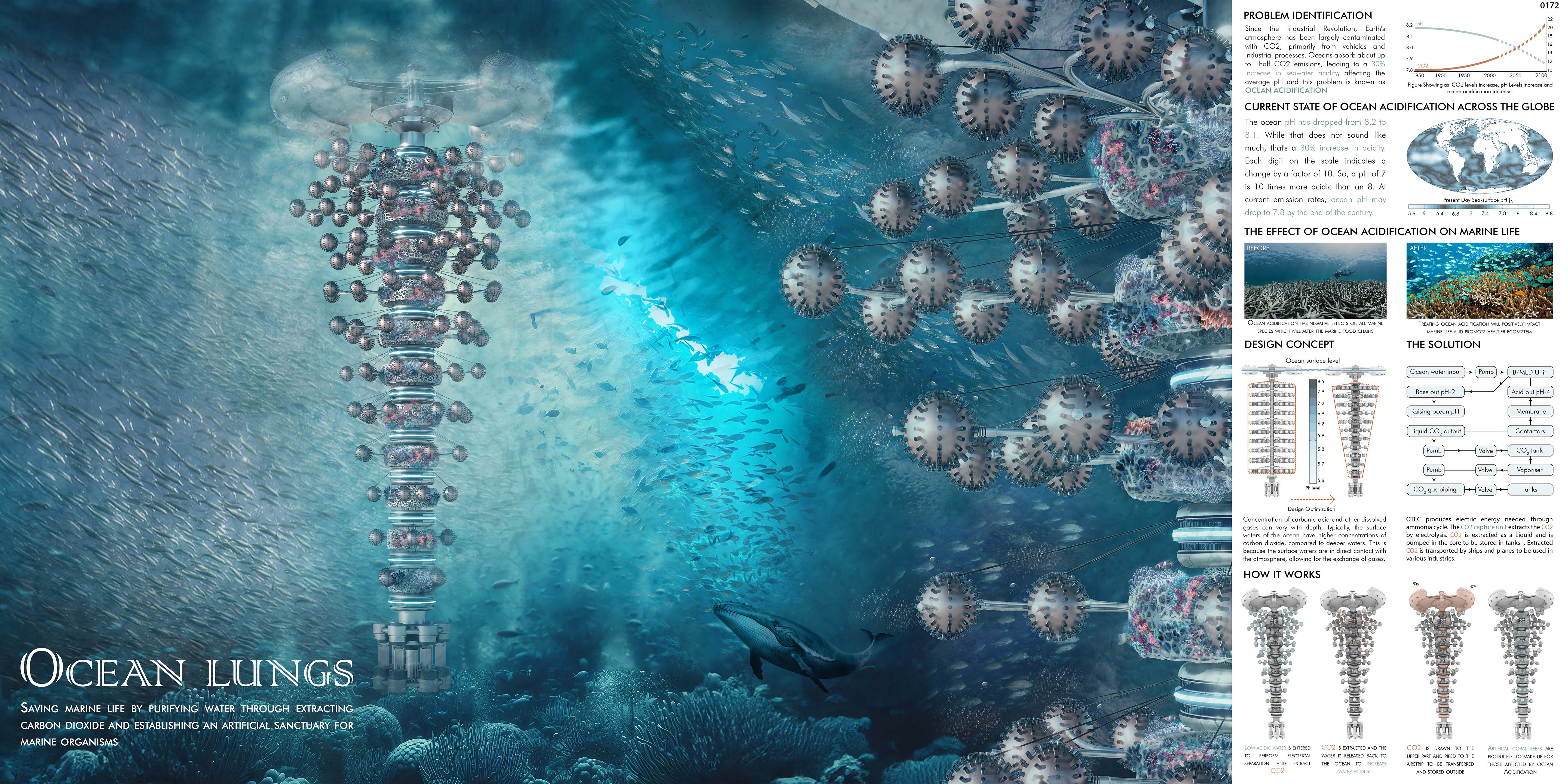 OCEAN LUNGS