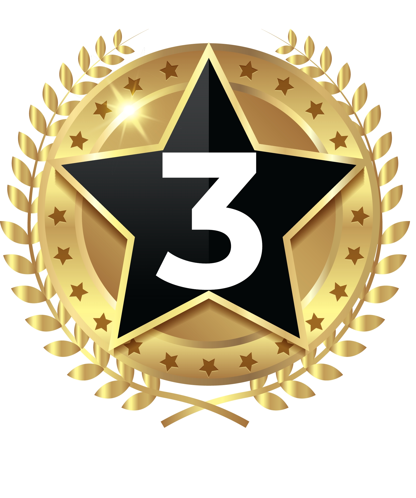 Third place in Biennale