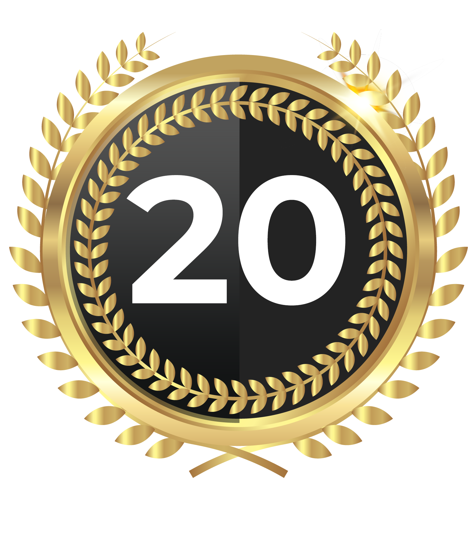 Top 20 in Tamayouz Awards